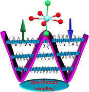 Graphical abstract: Unravelling the role of spin–vibrational coupling in designing high-performance pentagonal bipyramidal Dy(iii) single ion magnets