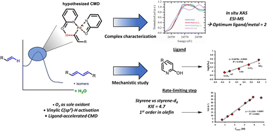 Graphical abstract: Palladium-catalyzed aerobic homocoupling of aliphatic olefins to dienes: evidence for rate-limiting concerted metalation–deprotonation