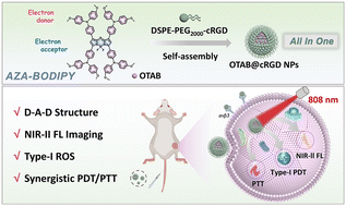 Graphical abstract: Donor modulation brings all-in-one phototheranostics for NIR-II imaging-guided type-I photodynamic/photothermal synergistic cancer therapy