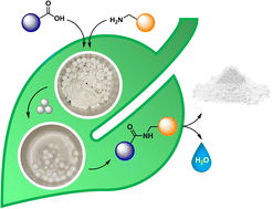 Graphical abstract: Comparison of traditional and mechanochemical production processes for nine active pharmaceutical ingredients (APIs)