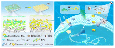 Graphical abstract: Bacteria-responsive functional electrospun membrane: simultaneous on-site visual monitoring and inhibition of bacterial infection