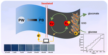 Graphical abstract: An integrated dual-signal self-powered flexible sensor based on ferrocene-mediated biofuel cell for glucose detection