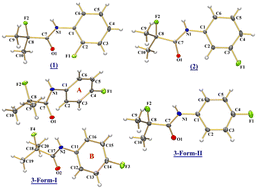 Graphical abstract: Investigation of noncovalent interactions in organofluorine compounds with C–F bonds in different electronic environments