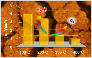 Graphical abstract: Plasma-assisted fabrication of NiO nanoarchitectures: from design to oxygen evolution electrocatalysis