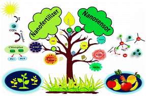 Graphical abstract: Nanosensors for hazardous pesticides and nanofertilizers for sustainable agriculture: contribution of carbon quantum dots