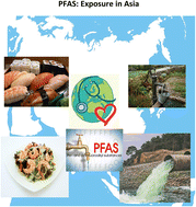 Graphical abstract: Human exposure to per- and poly-fluoroalkyl substances (PFAS) in Asia and contributing factors, with a focus on East Asia
