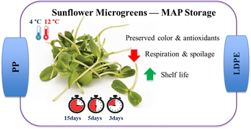 Graphical abstract: Modified atmosphere packaging of sunflower microgreens (Helianthus annuus) for quality and postharvest shelf-life extension