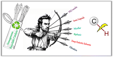 Graphical abstract: Green innovations in C–H bond functionalisation: exploring homogeneous recyclable catalytic systems