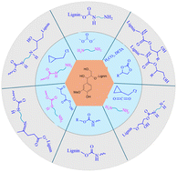 Graphical abstract: Lignin-based non-isocyanate polyurethanes: towards sustainable polyurethanes