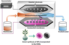 Graphical abstract: Electrically conductive nanomaterial-enhanced membranes for wastewater reclamation: mechanisms and performance insights