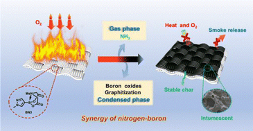 Graphical abstract: Sustainable and low-toxicity pyrazolyl N-methyliminodiacetic acid boronate as a nitrogen–boron flame retardant for functional silk