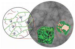 Graphical abstract: Photocurable cellulose nanofibers and their copolymers with polyacrylamide as microgels to support 3D cell cultivation