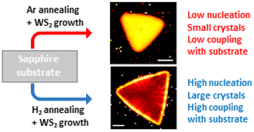 Graphical abstract: Aluminum-rich reconstructed sapphire as a high-quality substrate for tungsten disulfide synthesis