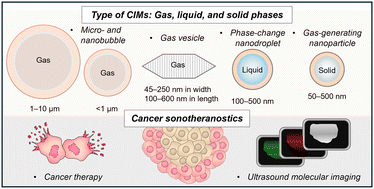 Graphical abstract: Recent advances in acoustic cavitation-inducible materials for cancer sonotheranostics