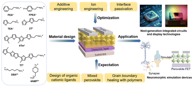Graphical abstract: Organic–inorganic hybrid halide perovskites for field-effect transistors