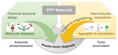 Graphical abstract: Room-temperature phosphorescent materials for tumor imaging: from structural design to diagnosis