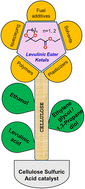 Graphical abstract: Ketalization of carbohydrate-derived levulinic esters using cellulose sulfuric acid as a heterogeneous catalyst: a closed-loop biorefinery approach