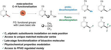 Graphical abstract: A unified approach to meta-selective methylation, mono-, di- and trifluoromethylation of arenes