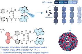 Graphical abstract: Hierarchical chirality conversion switched by biaxial halogen bonding