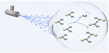 Graphical abstract: Electric-field-induced covalent condensation of boronic acids in water microdroplets