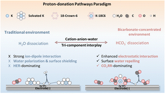 Graphical abstract: Cation solvation engineering for enhanced CO2 electroreduction