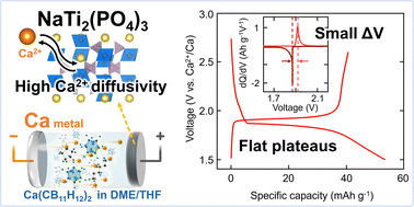 Graphical abstract: Small voltage hysteresis and flat plateaus in Ca-metal batteries using a Ti-based NASICON cathode