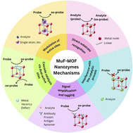 Graphical abstract: Tri-responsive multifunctional metal–organic framework (MuF-MOF) nanozyme-based sensors