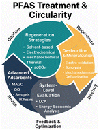 Graphical abstract: From capture to circularity: carbon-based adsorbents bridging adsorption, regeneration, and destruction pathways for sustainable PFAS remediation
