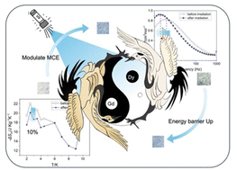 Graphical abstract: Light- and radical-induced modification of magnetic and magnetocaloric effects in viologen-based lanthanide materials