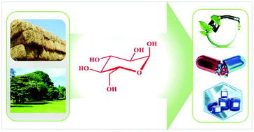 Graphical abstract: Recent advances in the catalytic production of glucose from lignocellulosic biomass