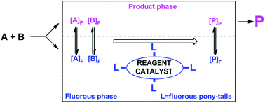 Graphical abstract: Fluorous ethers