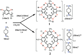 Graphical abstract: 2-Methylresorcinarene: a very high packing coefficient in a mono-anion based dimeric capsule and the X-ray crystal structure of the tetra-anion