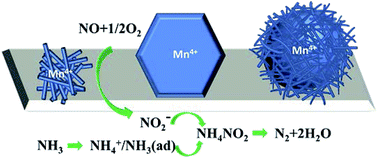 Graphical abstract: Structure–performance relationships of MnO2 nanocatalyst for the low-temperature SCR removal of NOX under ammonia