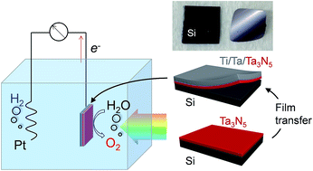 Graphical abstract: Thin film transfer for the fabrication of tantalum nitride photoelectrodes with controllable layered structures for water splitting