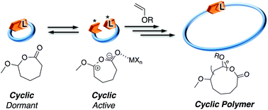 Graphical abstract: Ring-expansion cationic polymerization of vinyl ethers