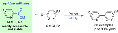 Graphical abstract: Pyridine sulfinates as general nucleophilic coupling partners in palladium-catalyzed cross-coupling reactions with aryl halides