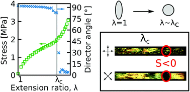 Graphical abstract: New insights into the nature of semi-soft elasticity and “mechanical-Fréedericksz transitions” in liquid crystal elastomers