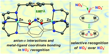 Graphical abstract: NOx− anion recognition by bimetallic cryptates: selectivity for nitrite over nitrate