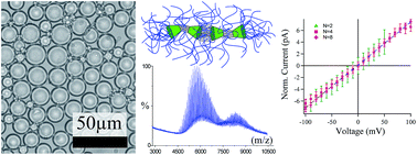 Graphical abstract: Biomimetic ion channels formation by emulsion based on chemically modified cyclodextrin nanotubes