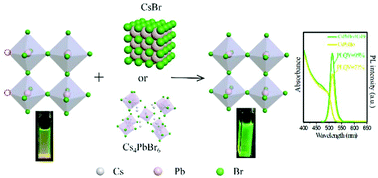 Graphical abstract: Observation and implication of halide exchange beyond CsPbX3 perovskite nanocrystals