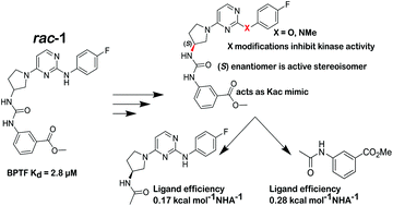 Graphical abstract: Selectivity, ligand deconstruction, and cellular activity analysis of a BPTF bromodomain inhibitor