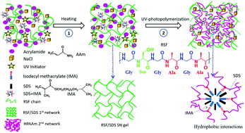 Graphical abstract: Conductive regenerated silk-fibroin-based hydrogels with integrated high mechanical performances