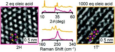 Graphical abstract: Using ligands to control reactivity, size and phase in the colloidal synthesis of WSe2 nanocrystals