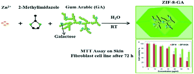 Graphical abstract: Synthesis of a biocompatible nanoporous zeolitic imidazolate framework-8 in the presence of Gum Arabic inspired by the biomineralization process