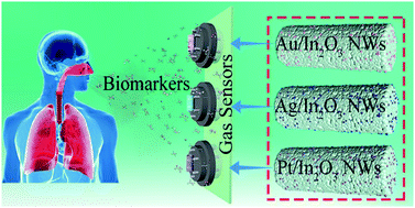 Graphical abstract: Understanding the noble metal modifying effect on In2O3 nanowires: highly sensitive and selective gas sensors for potential early screening of multiple diseases