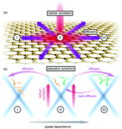 Graphical abstract: Spatio-temporal dynamics in graphene