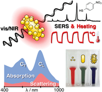 Graphical abstract: SERS and plasmonic heating efficiency from anisotropic core/satellite superstructures