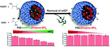 Graphical abstract: Tuning the catalytic properties of P22 nanoreactors through compositional control