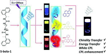 Graphical abstract: A self-assembled nanohelix for white circularly polarized luminescence via chirality and energy transfer