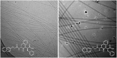 Graphical abstract: Using chirality to influence supramolecular gelation